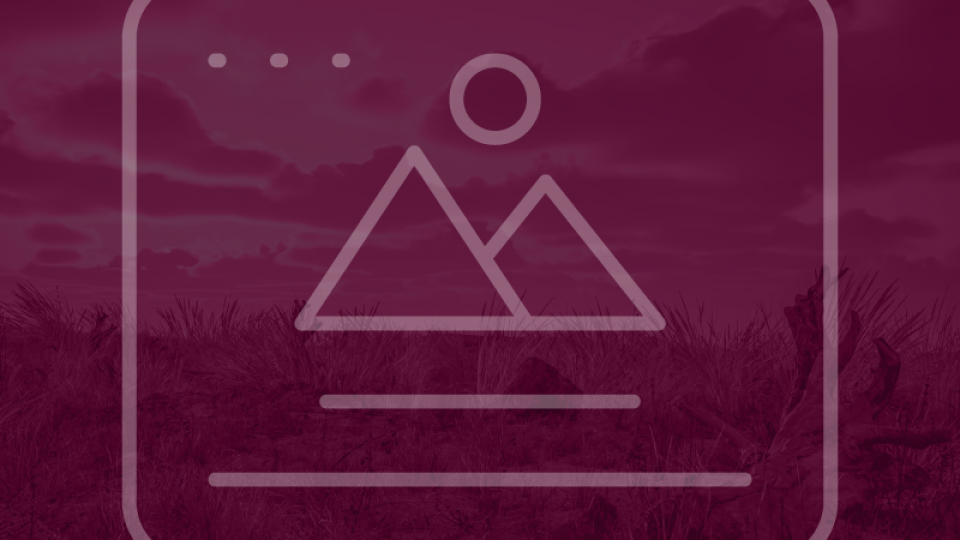 Resumen de las acciones del Estado de Sonora en la COP26